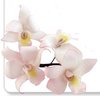 JEM singapore orkidea -koristelumuotit