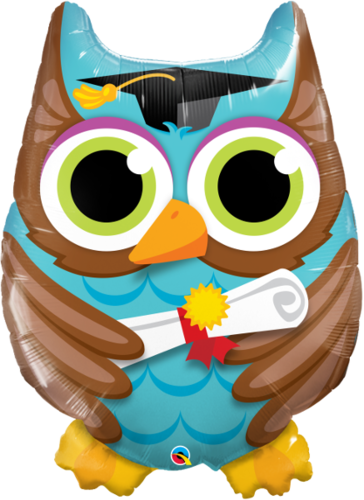 Muotofoliopallo, Graduate Owl