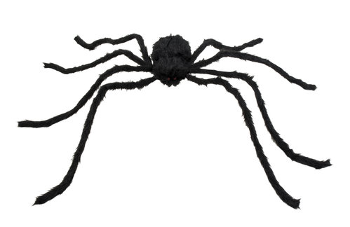 Karvainen hämähäkki, 75x125cm