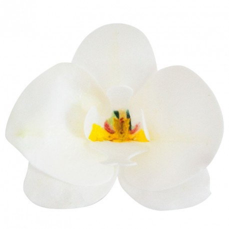 Syötävä koriste, valkoinen orkidea 10kpl