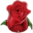 Muotofoliopallo, Red rose bud