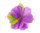 Hawaiian hiuskoriste, violetti kukka