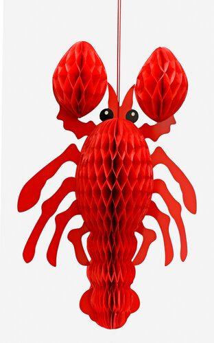 Honeycomb paperikoriste, rapu