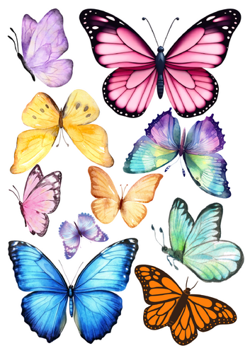 Syötävä kakkukuva, Perhoset